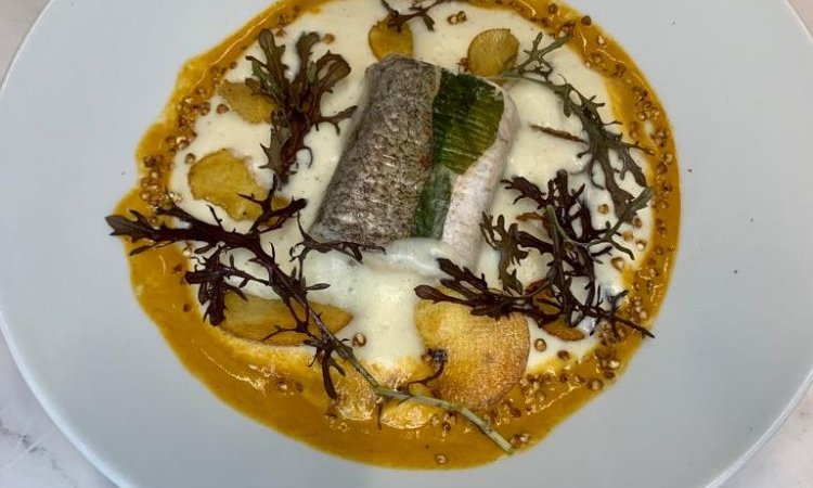 Filet de Merlu - Carte automne 2021 Saveurs des grands enfants Cugnaux